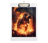Cool Dinosaur Acrylic Clipboards Writing Clipboard Letter Size Clipboards with Low Profile Metal Clip for Students, Women, Man 12.5 x 9 Inches