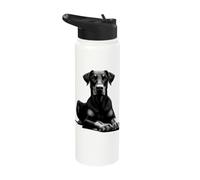 Cool Doberman with Floppy Ears in Lying Pose Stainless Steel Insulated Water Bottle