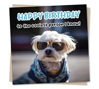 Cool Dog Birthday Card - To the Coolest Person I know - Happy Birthday Funny Dog Humour Card for Family and Friends - Fun Greetings Wish for Men, Women, Son, Grandson - Made in UK