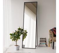 cool glass cheval mirror with black metal frame