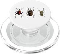 Cool Insect Asian Giant Stag Beetle Large Bugs w/Pinchers PopSockets PopGrip for MagSafe