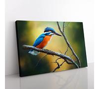 Cool Kingfisher Bird Canvas Wall Art Print Ready to Hang, Framed Picture for Living Room Bedroom Home Office Décor, 50x35 cm (20x14 Inch)