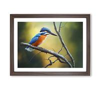 Cool Kingfisher Bird Framed Print | A4 Walnut Framed Wall Art | Ready to Hang | Modern Nature Picture | Living Room Bedroom Lounge Office