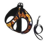 Cool Lion Print Small Dog Harness with Leash Set, No Escape Easy Walk Puppy Harnesses for Training Walking