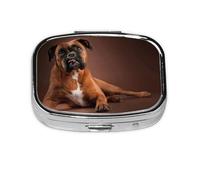 Cool Lying Boxer Dog,Meta Pill Box 2 Compartment Medicine Case,Portable Organizer,Rectangle Meta Portable Organizer Pill Box 1894 Compartment Medicine Case