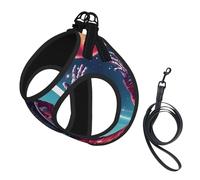 Cool Man in Outer Space Galaxy print Dog Harness and Leash Set, Reflective Adjustable Puppy Vest for Small Medium Large Dogs, Cats