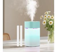 Cool Mist Mini Humidifier, Portable Desk Humidifier - Double Nourishment for Indoor Plants, Office & Bedroom