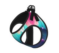 Cool Music Sound Wave Print Pet Leash Vest Soft Adjustable Step in Puppy Vest Outdoor Walking with Leash