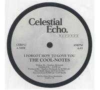 COOL NOTES, The - I Forgot How To Love You - Vinyl (12")