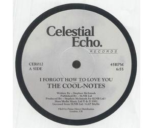 COOL NOTES, The - I Forgot How To Love You - Vinyl (12")