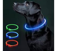 COOL PAWS LED Dog Collar - USB Rechargeable, Adjustable Dog Collar Light, Waterproof & Durable Reflective Light Up Dog Collars for Night with 3 Flashing Modes for Small, Medium & Large Dogs, Blue