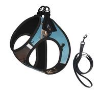 Cool Pirate Ship Print Dog Harness,Pet Leash Vest For Small To Medium Dogs,Perfect For Outdoor Adventures