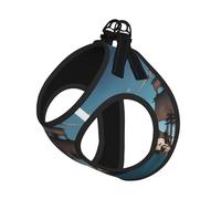 Cool Pirate Ship Print Step in Dog Harness and Leash Set,Adjustable Reflective Harness for Small Dogs Cats