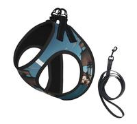 Cool Pirate Ship Print Step in Dog Harness and Leash Set,Adjustable Reflective Harness for Small Dogs Cats