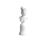 Cool Stuff to Put on Shelves Retro Head Portrait Bust Statue Classic Elegant Home Decorations Resin Craftwork Goddess Sculpture Room Decor Aesthetic(White,)