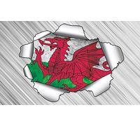 Cool Torn Metal Effect Welsh Dragon Flag - Vinyl, car, Sticker 125mm by 95mm