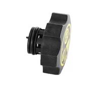 Coolant Expansion Tank Compatible With Cadillac For Escalade 2009-2015 For Enclave 2013-2018 OEM 13502353 Radiator Expansion Water Tank Cap