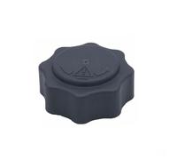 Coolant Expansion Tank Compatible With Mini For Cooper S For R53 2002-2006 OEM PCD100160 17107515499 Car Radiator Coolant Recovery Expansion Water Tank Cap