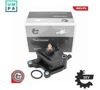 ESEN SKV 20SKV226 Coolant Flange