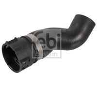 FEBI BILSTEIN 171591 Radiator hose