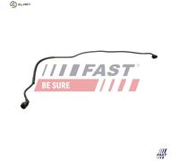 FAST FT00252 Radiator hose