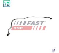 FAST FT00252 Radiator hose