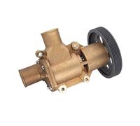 Coolant Pump Raw Sea Water Pump 21380890 For Volvo For Penta D6 Series For Marine Engine 3589907 Replaces For Jabsco 50394-8300 50394-8100