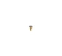 Bosch Temperature Sensor 0280130040