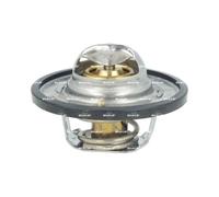 NRF 725528 Thermostat