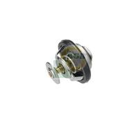 Coolant Thermostat Fits Audi A1 Sportback A3 Sportback Limousine Seat BGA CT0120