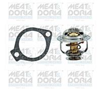 Coolant Thermostat Fits CHEVROLET OPEL VAUXHALL Captiva Cruze Epica 4805178
