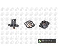 Coolant Thermostat Fits Citroen Peugeot Berlingo C2 C4 C8 Saxo BGA CT5360K