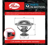 Gates TH31182G1 Thermostat