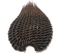 Coolbers 12 Inch Havana Mambo Twist Braids Crochet Hair Extensions Synthetic Crochet Braids Handmade Twist Braids for Women (12 Inch, 1B/30)