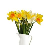 CoolCrafts 8 Stems Artificial Daffodil Flowers Mix Spring Silk Narcissus Fake Flowers Faux Daffodils Bouquet for Home Wedding Decor