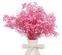 CoolCrafts Dried Babys Breath Bulk Natural Dried Gypsophila FLowers Pink Babys Breath Stems for Home Decor, Weddings, Crafts