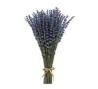 CoolCrafts Dried Lavender Bunches Lavender Stems Decorative Dry Lavender Flowers for Home Decor, Crafts, Wedding Bouquets