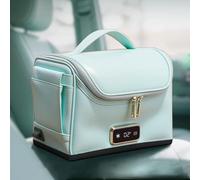 Cooler 12v Car Refrigerator Mini Personal Fridge 4L Cooling: -20°C To 0°C Heating: +40°C To +70°C with Smart Display and Zipper PU Leather 12V(Green)