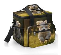 Cooler Bags Insulated,Puppy Crossing The Grassprinted 22L Collapsible Large Portable Leakproof Camping Cool Bag for Outdoor Picnic Beach Travel
