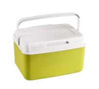 Cooler Box - High Performance Ice Box | Travel Cooling Box, Leakproof Ice Cooler Box with Handle | Large Transport Thermal Snack Containers, P