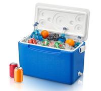 Cooler Box with Removable Tray & Drain Plug, 26L Portable Insulated Ice Chest with Handle, 84H Cooling for Fishing Camping Travel Car Beach