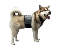 Cooler Dog Cooling Vest and Cooling Collar, L