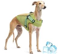 Cooler Dog Harness, Breathable Mesh Cool Coat Ice Clothes for Dogs Walking Outdoor Heat Protection, Indoor Wear for Your Pet Lay and Chill In/Relax(Green, L)