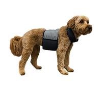 Cooler Dog Medium Cooling Vest and Collar