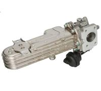 Cooler, exhaust gas recirculatio NISSENS 989413 for AUDI A3 (8P1) 2 2003-2012