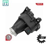 ESEN SKV 14SKV247 EGR cooler