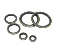 Cooler Gasket Seals Washer Seal Kit M5 M6 M8 M10 M12 M14 M16 M18 20 M24 Bonded Metal Rubber Gasket Oil Drain Bolt Plug Sealing O Ring(120pcs Washer Seal)