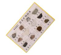 COOLHIYA 12 Pcs Mineral Rock Specimens Geology Kit Rock Specimen for Teaching for Collecting for Collection Science Classroom Plastic