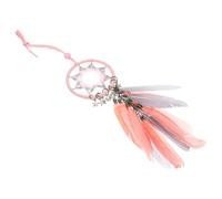 COOLHIYA Handmade Pink Dream Catcher Wall Hanging Decor with Fake Plume and Iron Braid, Retro Style to Capture Beautiful Dreams and Eliminate Nightmares, Birthday and Home Decoration