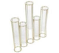 COOLHIYA Rotatable 5 Glass Test Tubes Plant Vase with Iron Metal Frame, Creative Hinged Design for Flexible Flower Arrangements and Propagation, for Living Room or Office Desk Décor
